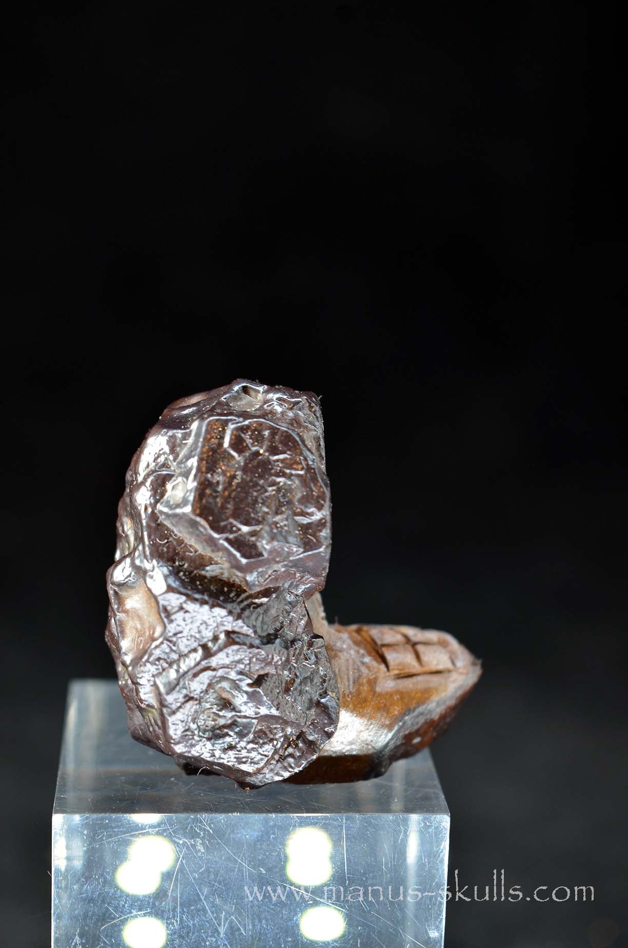 Prophecy Stone Evolian #06