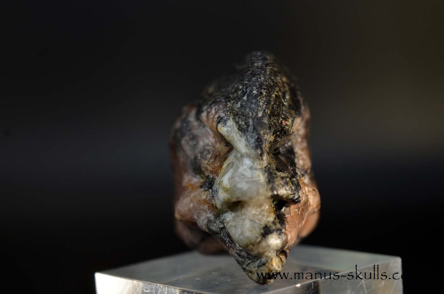 CHIASTOLITE Toothless SKULL