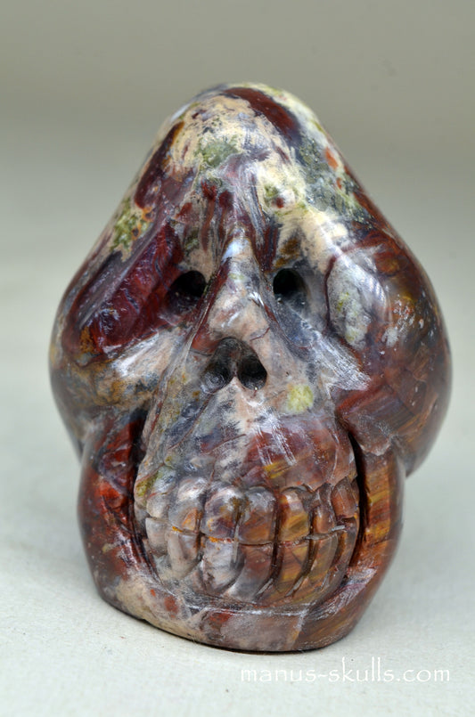 PIETERSITE Toothless Manus SKULL .....