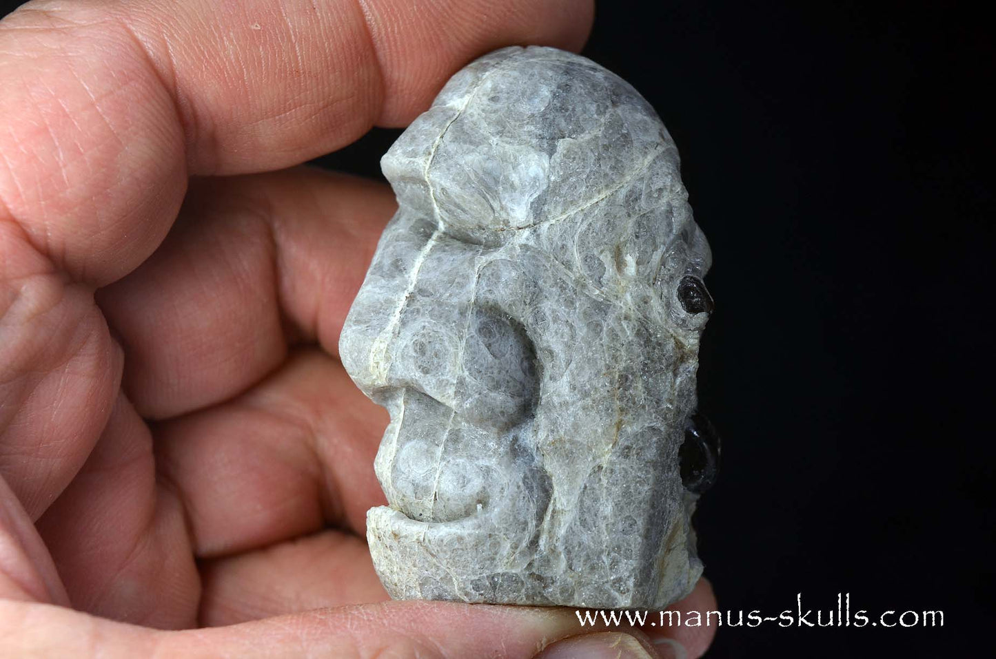 Apache Tears Obsidian on Matrix Skull #1