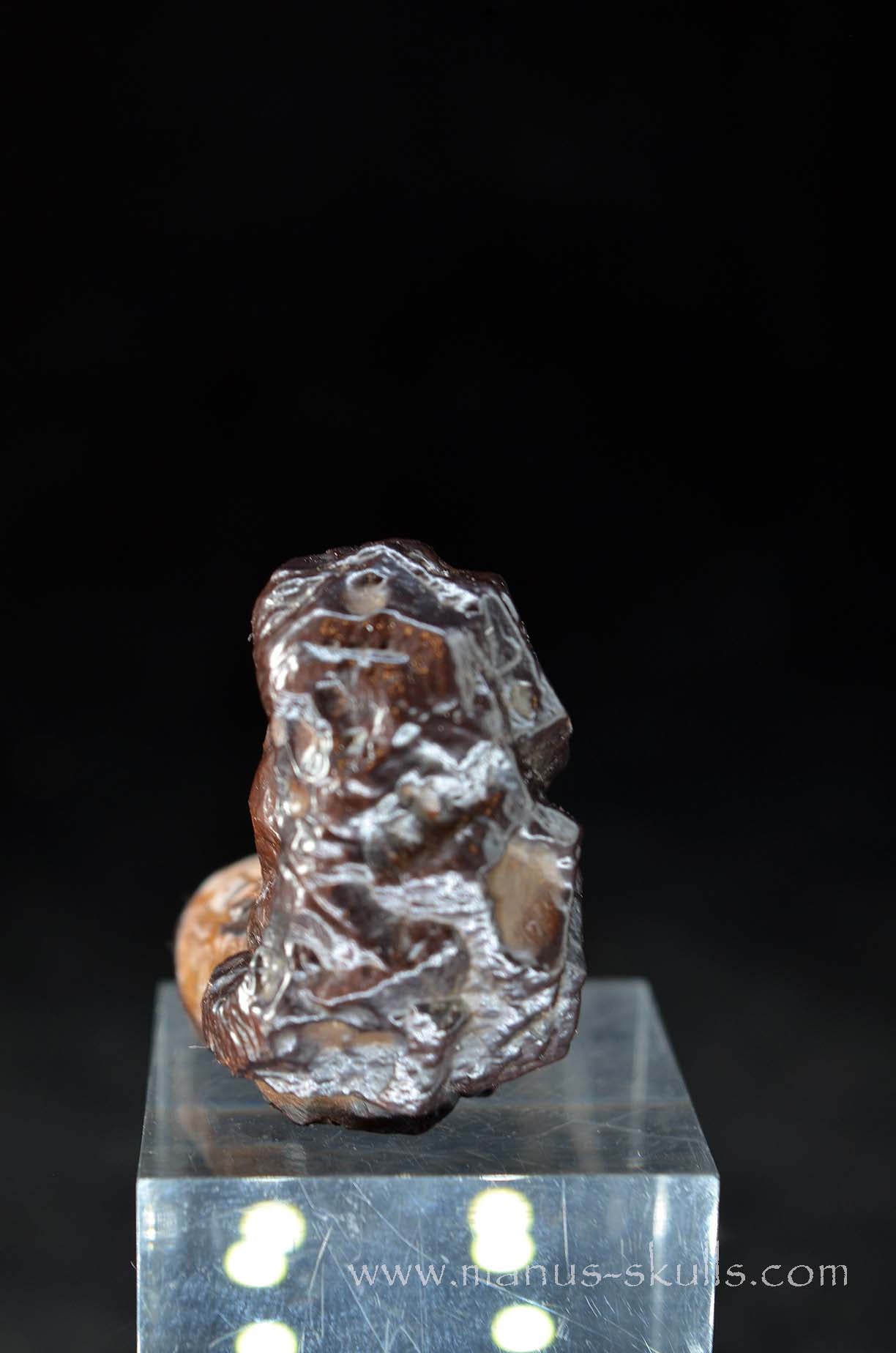 Prophecy Stone Evolian #06