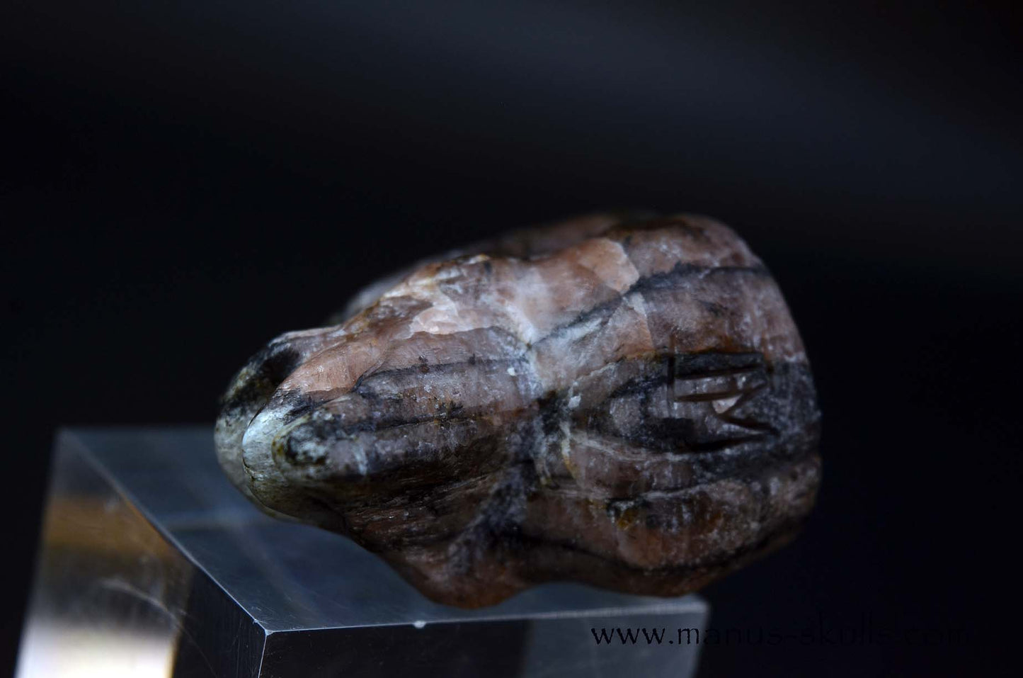 CHIASTOLITE Toothless SKULL