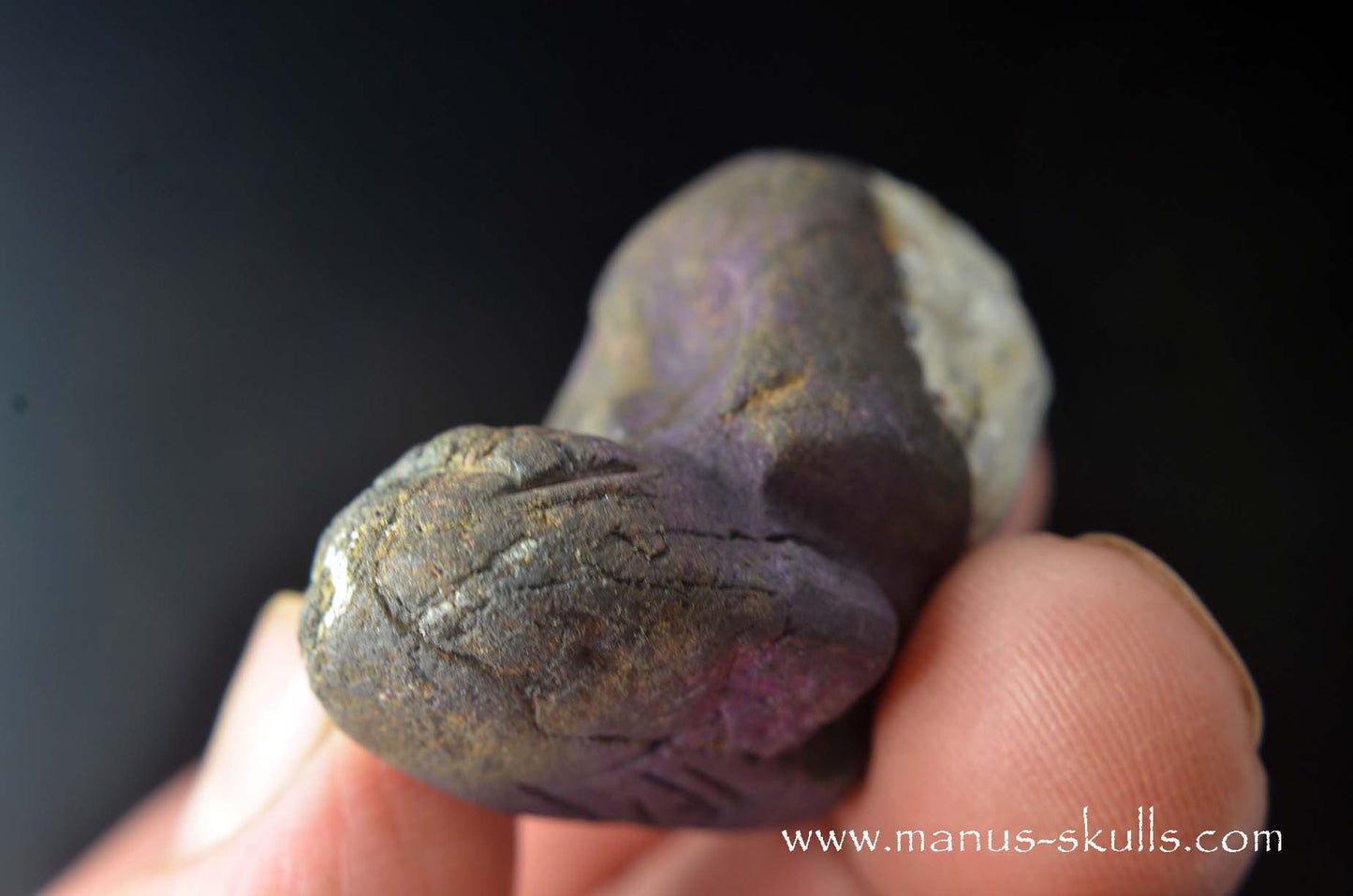 Purpurite Evolian #08