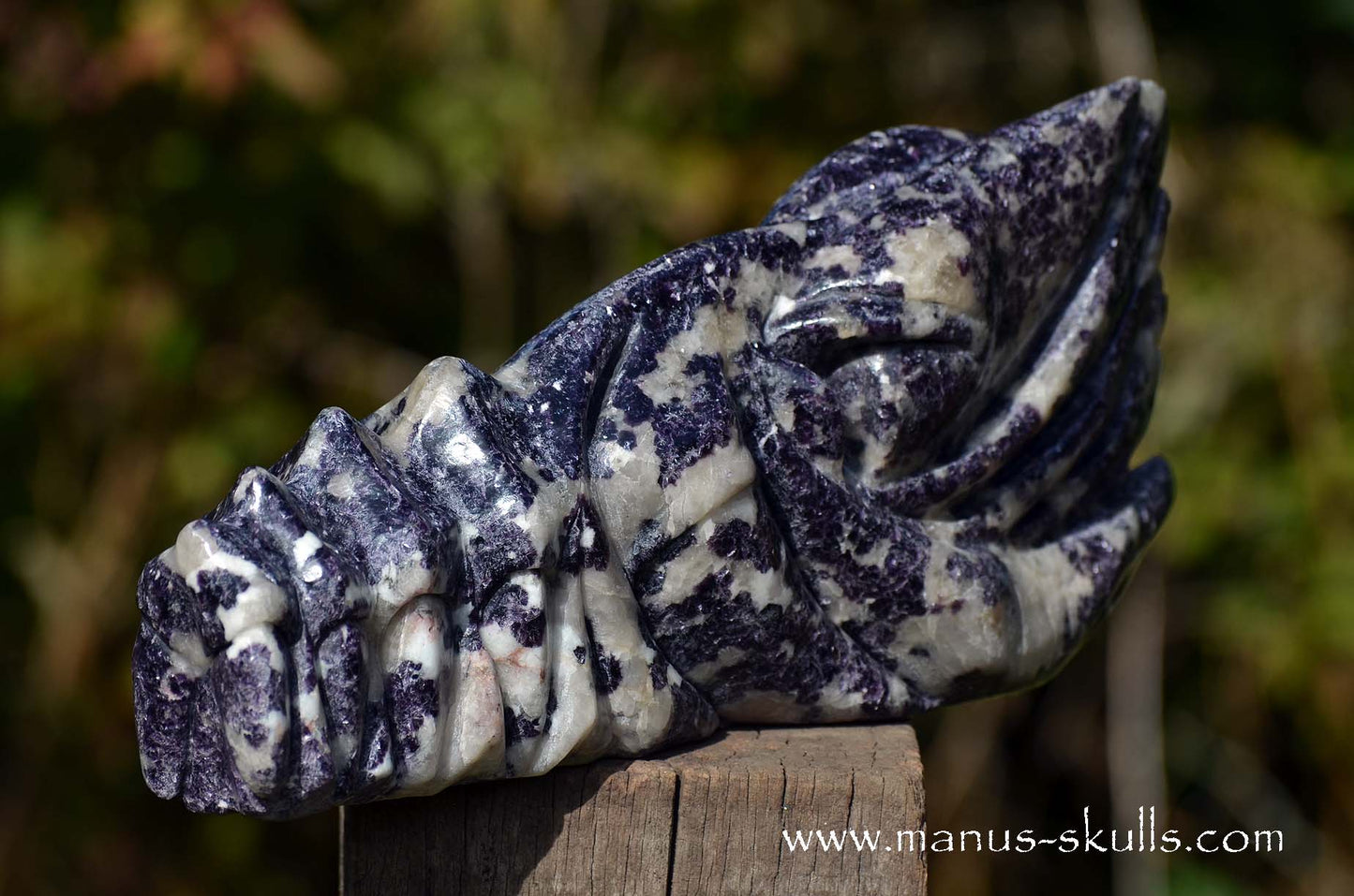 Huge LEPIDOLITE Dragon ...