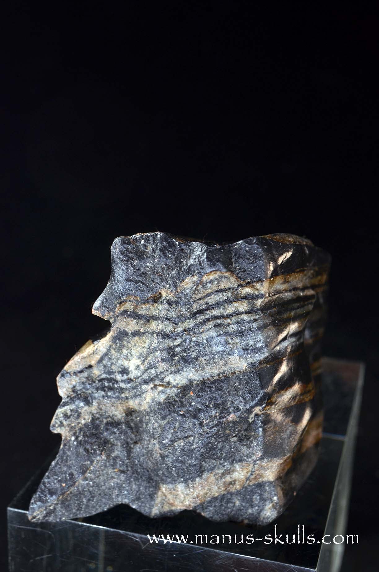 Greenland Isua Dragon