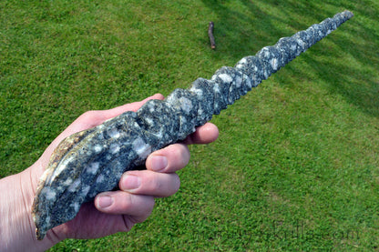 Large Preseli Bluestone MASTER Dragon Wand 11 ~22 ~ 33 ~ 44 ~55