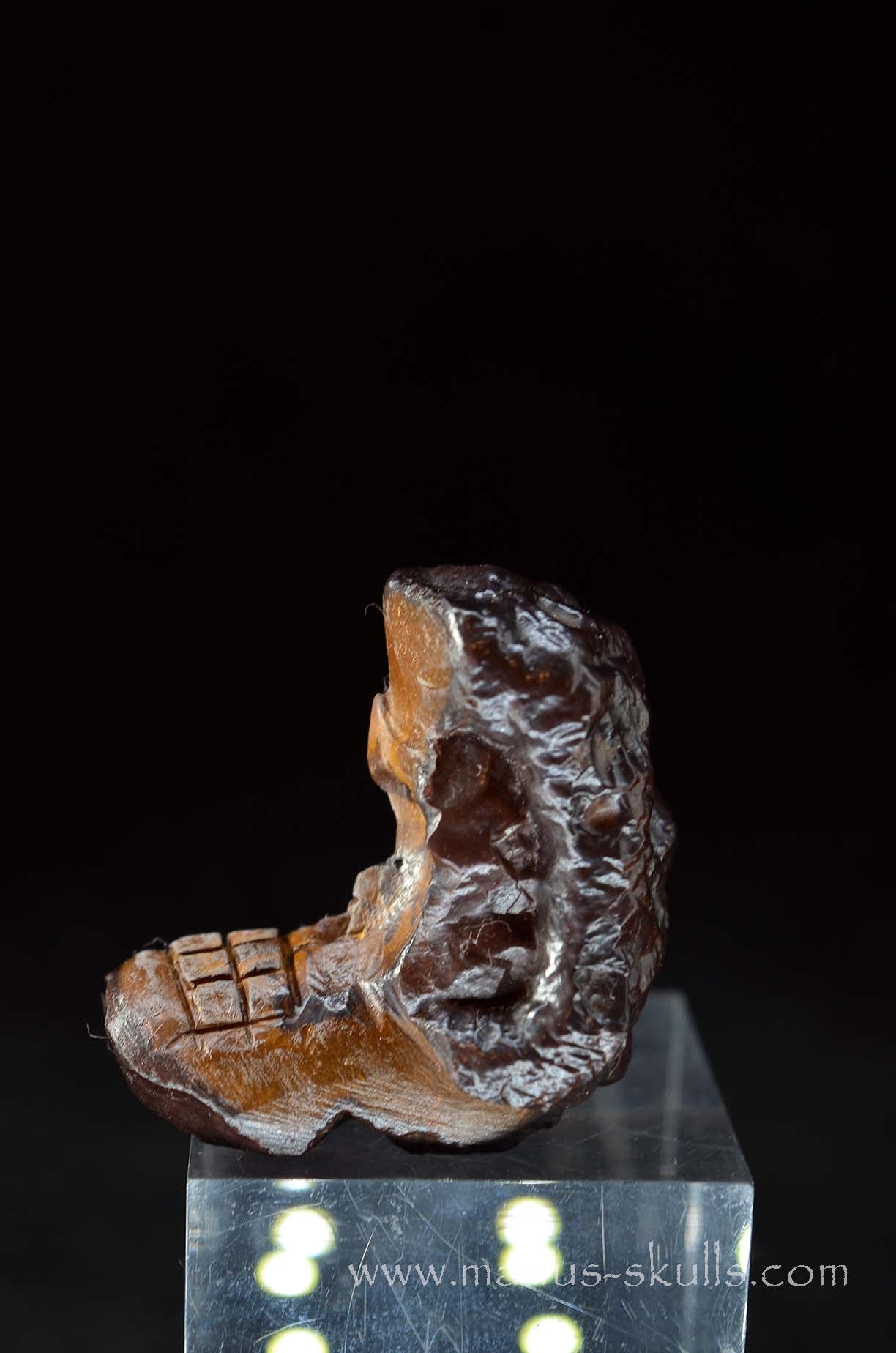 Prophecy Stone Evolian #06