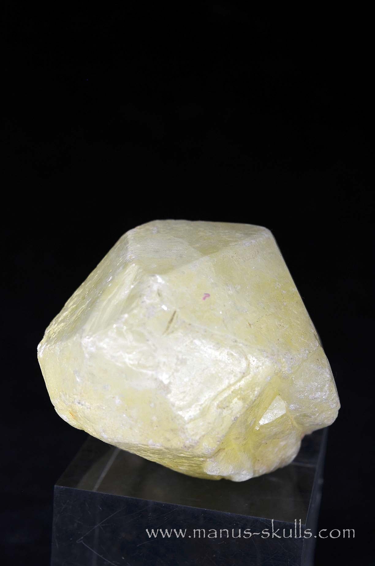 Sulfur Quartz Toothless Skull