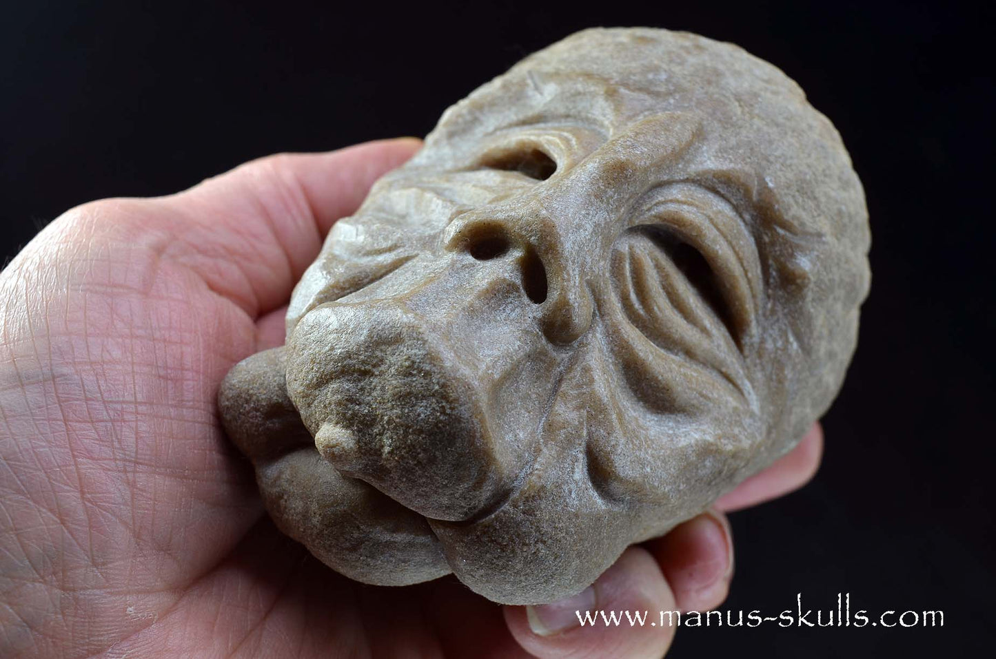 Stromatolite ~ Oncolite Character Skull