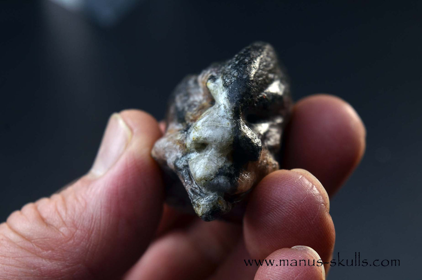 CHIASTOLITE Toothless SKULL