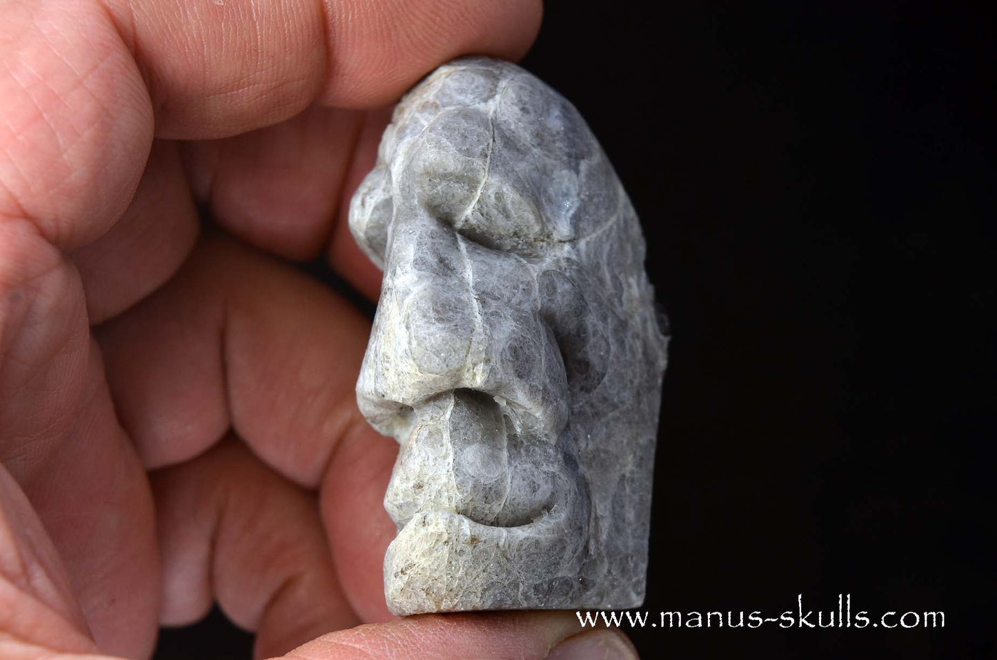 Apache Tears Obsidian on Matrix Skull #1