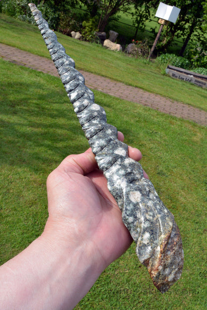 Large Preseli Bluestone MASTER Dragon Wand 11 ~22 ~ 33 ~ 44 ~55