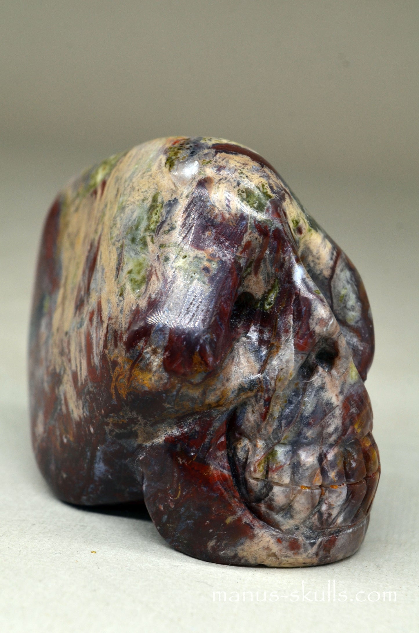 PIETERSITE Toothless Manus SKULL .....