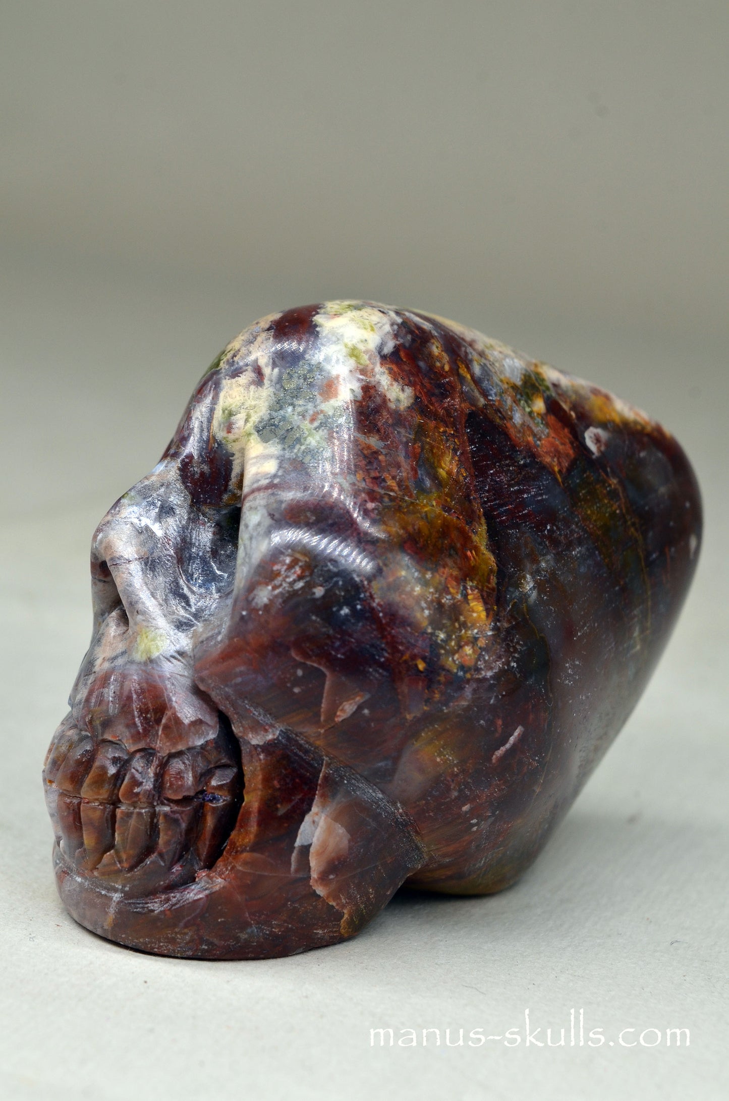 PIETERSITE Toothless SKULL .....