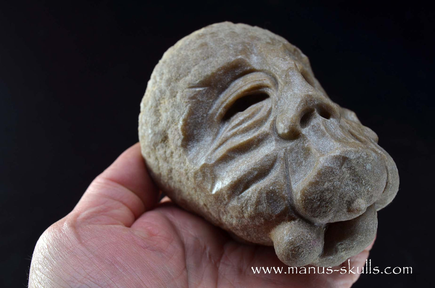 Stromatolite ~ Oncolite Character Skull