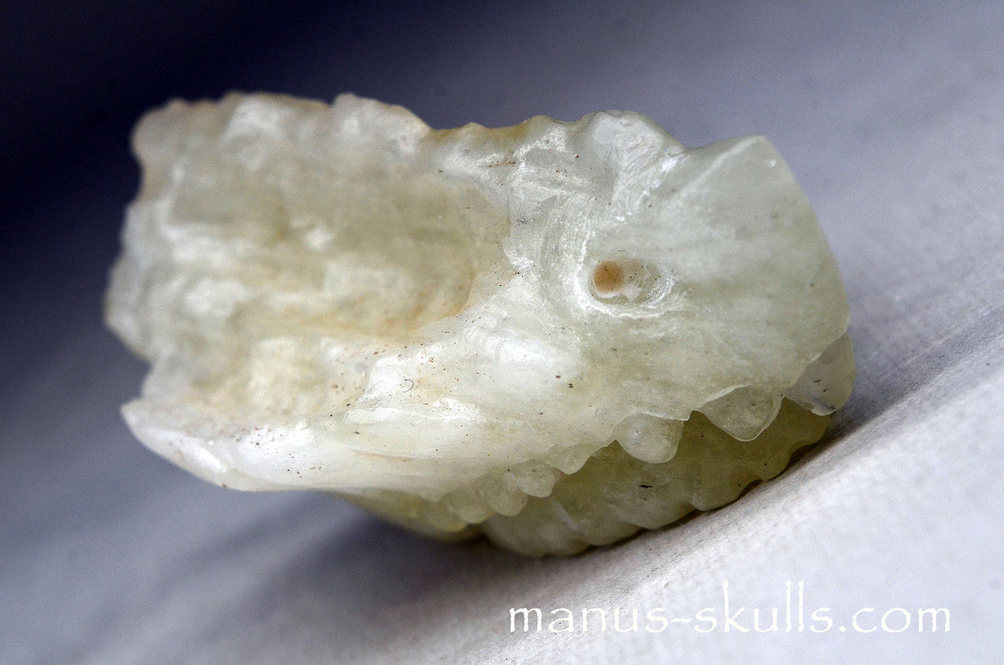 Libyan Desert Glass Dragon