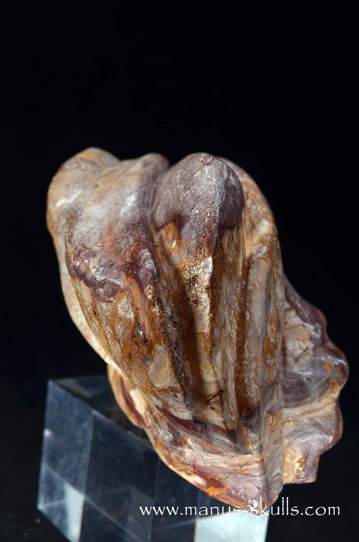 Large Batik Jasper ALIEN Dragon ~ First 2026 Carve!!
