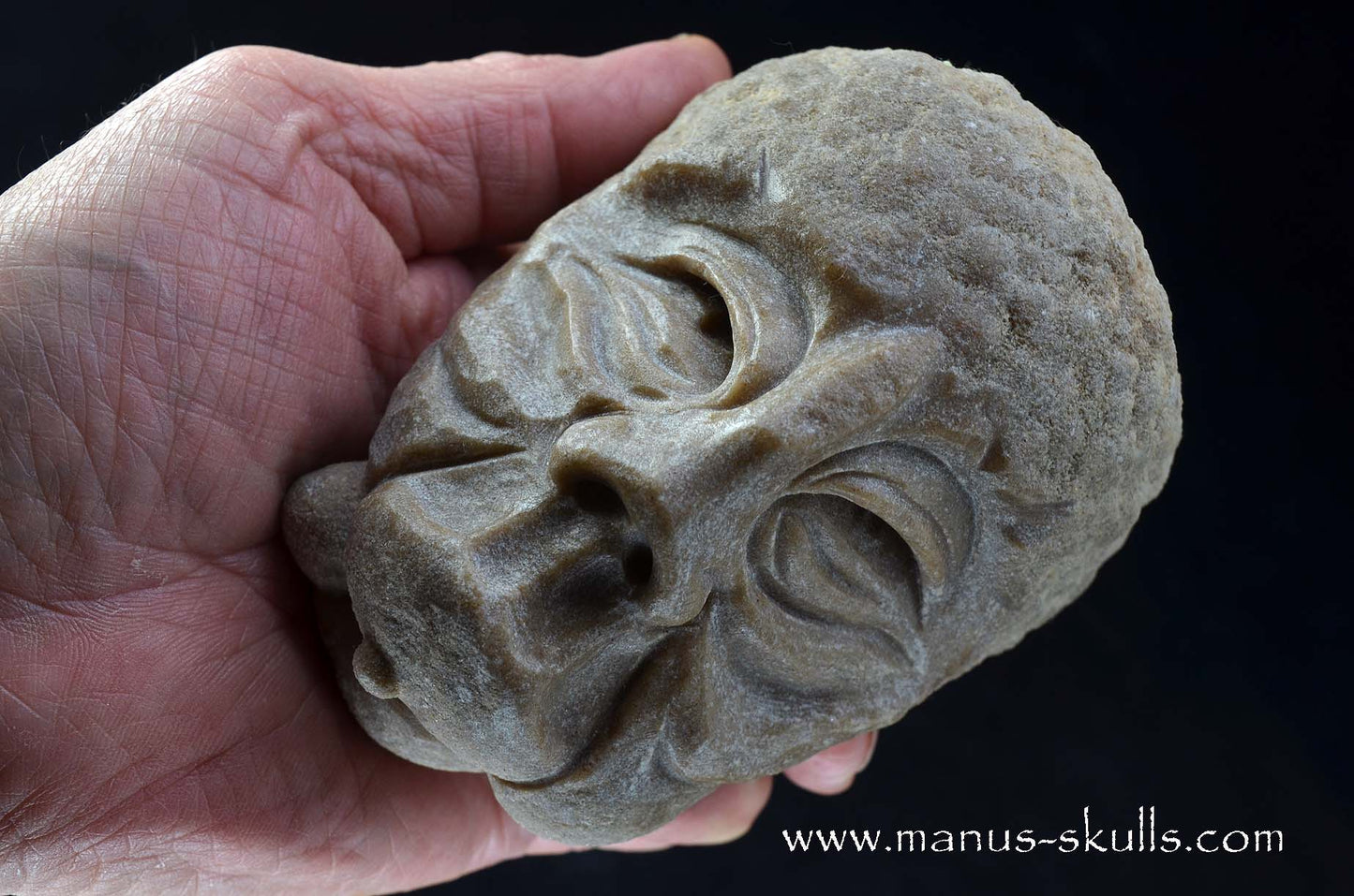 Stromatolite ~ Oncolite Character Skull