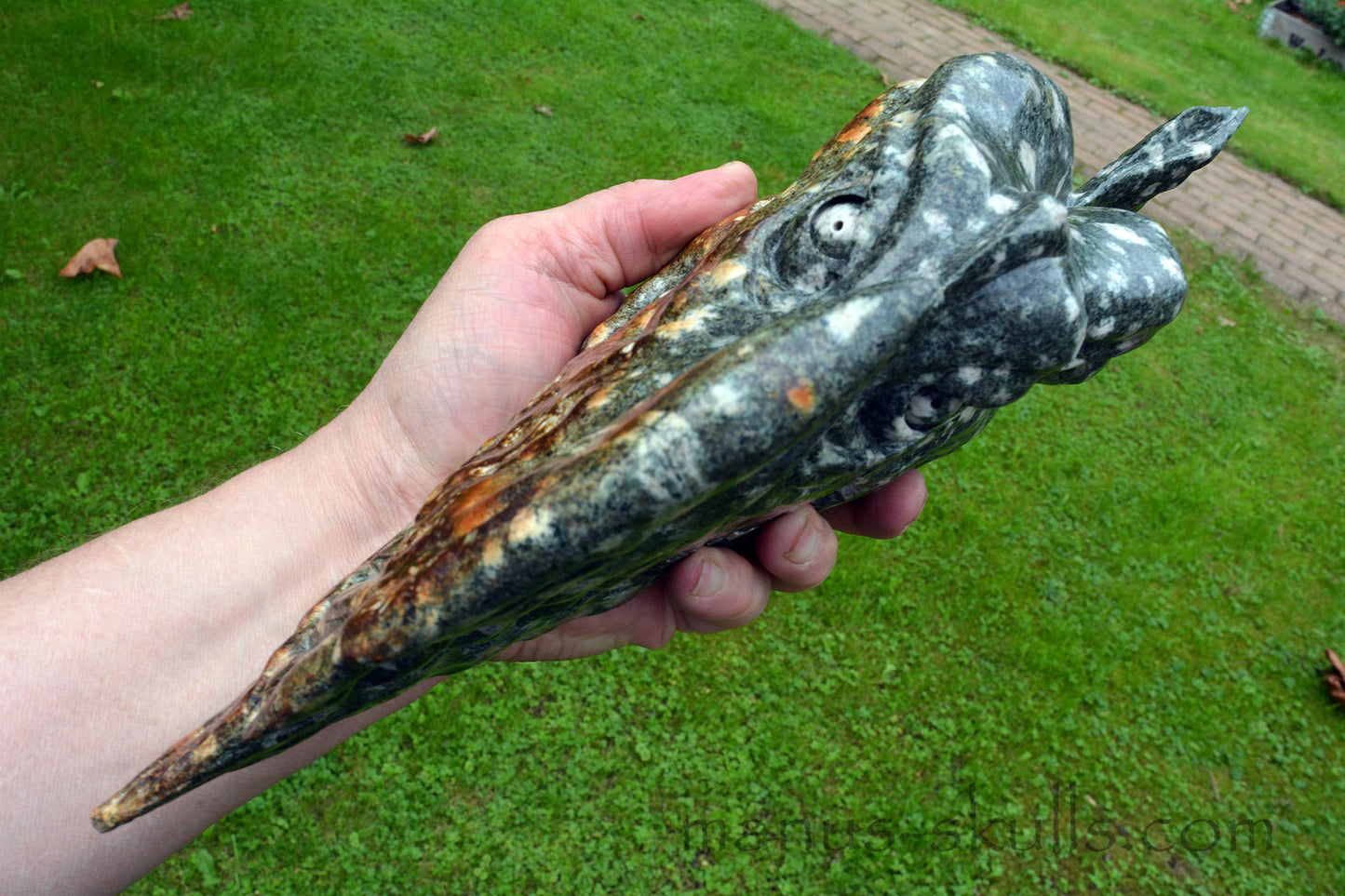 Preseli Bluestone Piranha Dragon ....