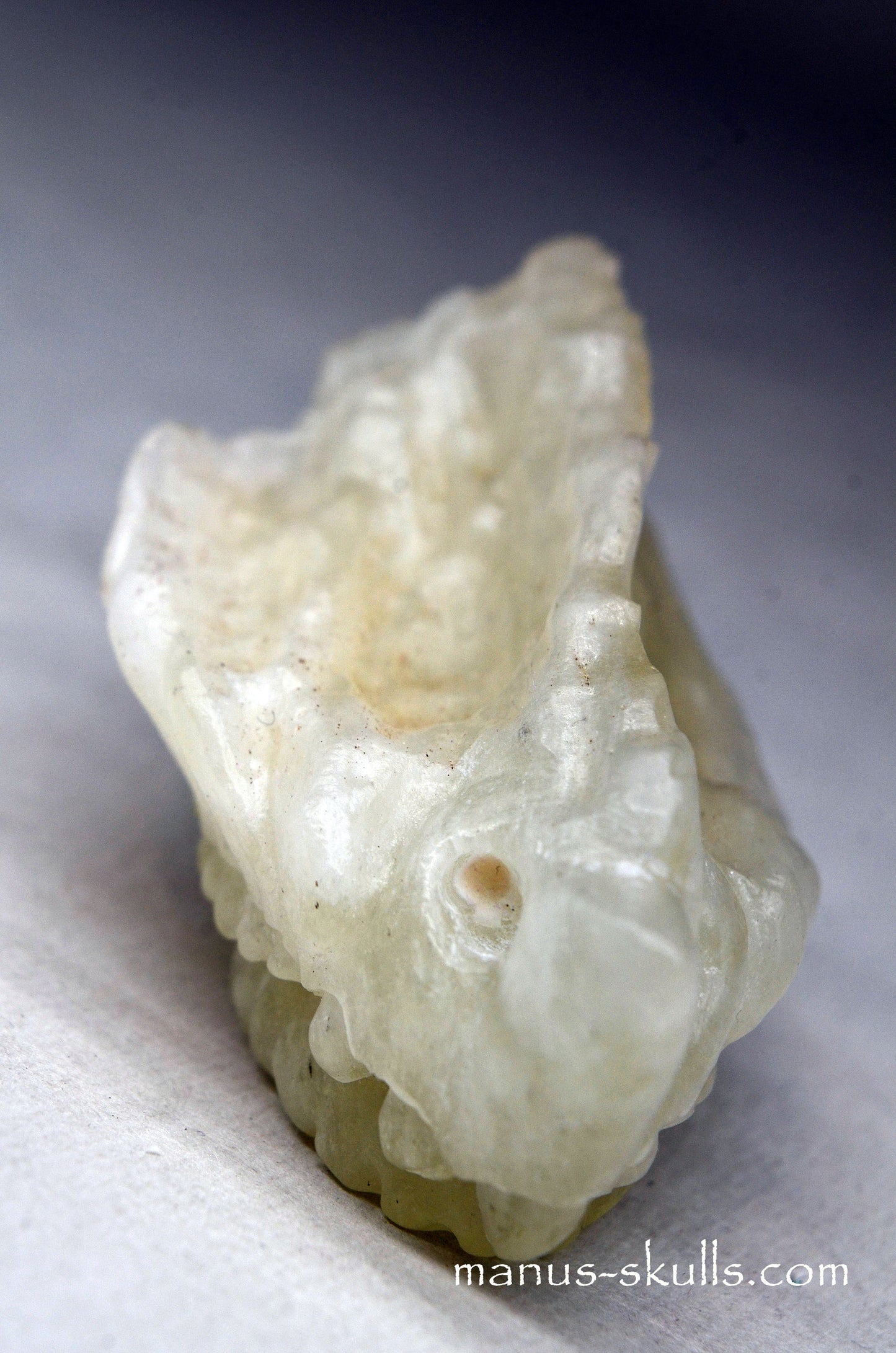 Libyan Desert Glass Manus Dragon.