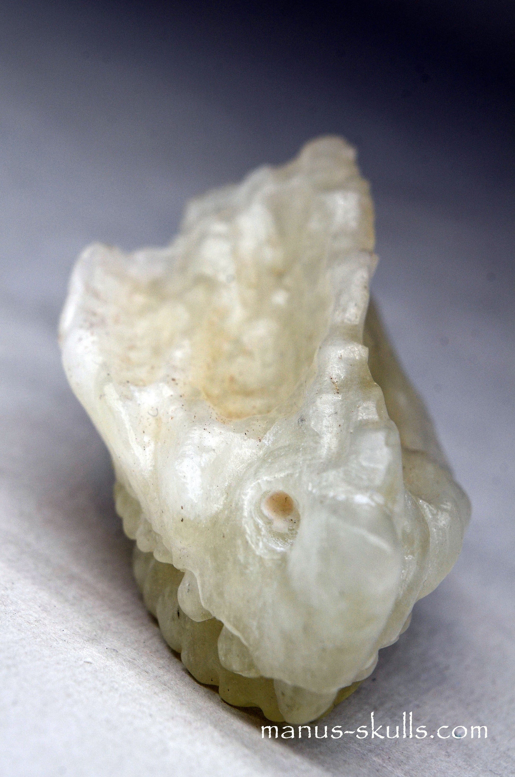 Libyan Desert Glass Manus Dragon.