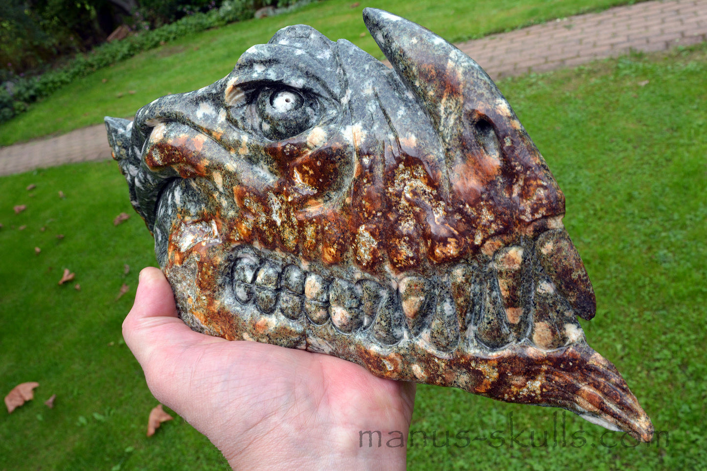 Preseli Bluestone Piranha Dragon ....