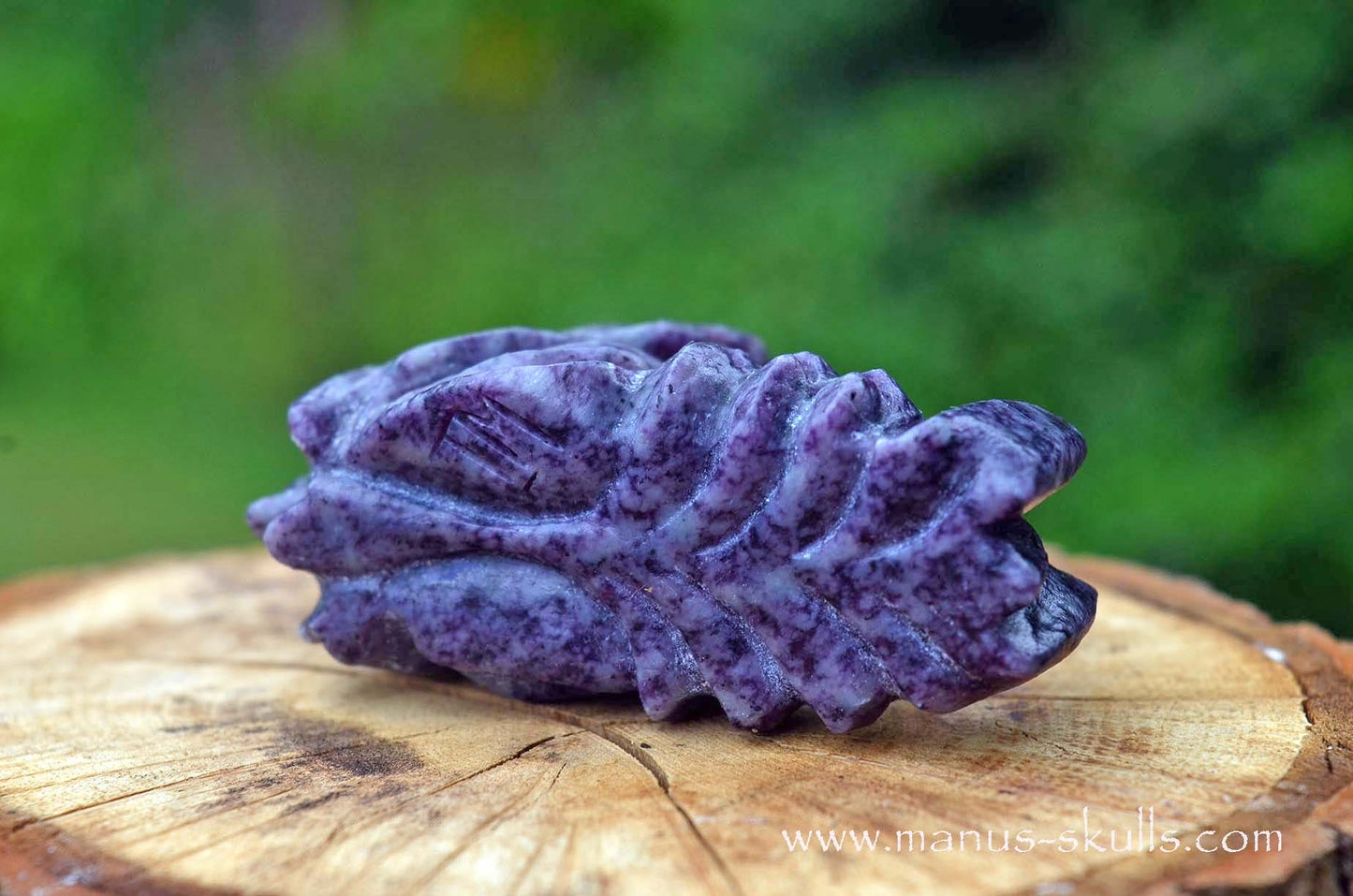 Kammererite baby Dragon