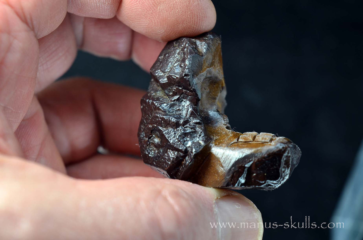 Prophecy Stone Evolian #06