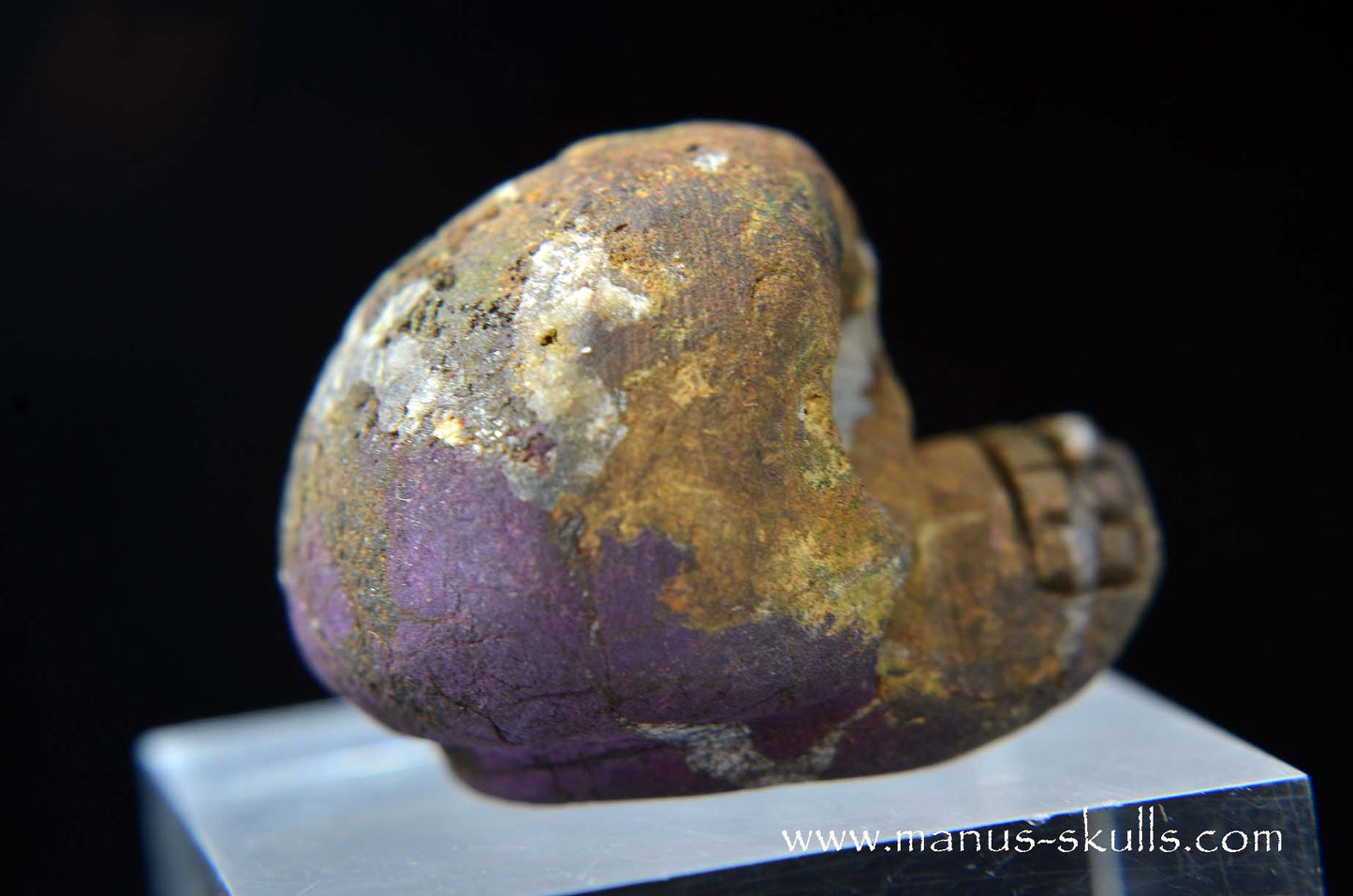 Purpurite Evolian #09