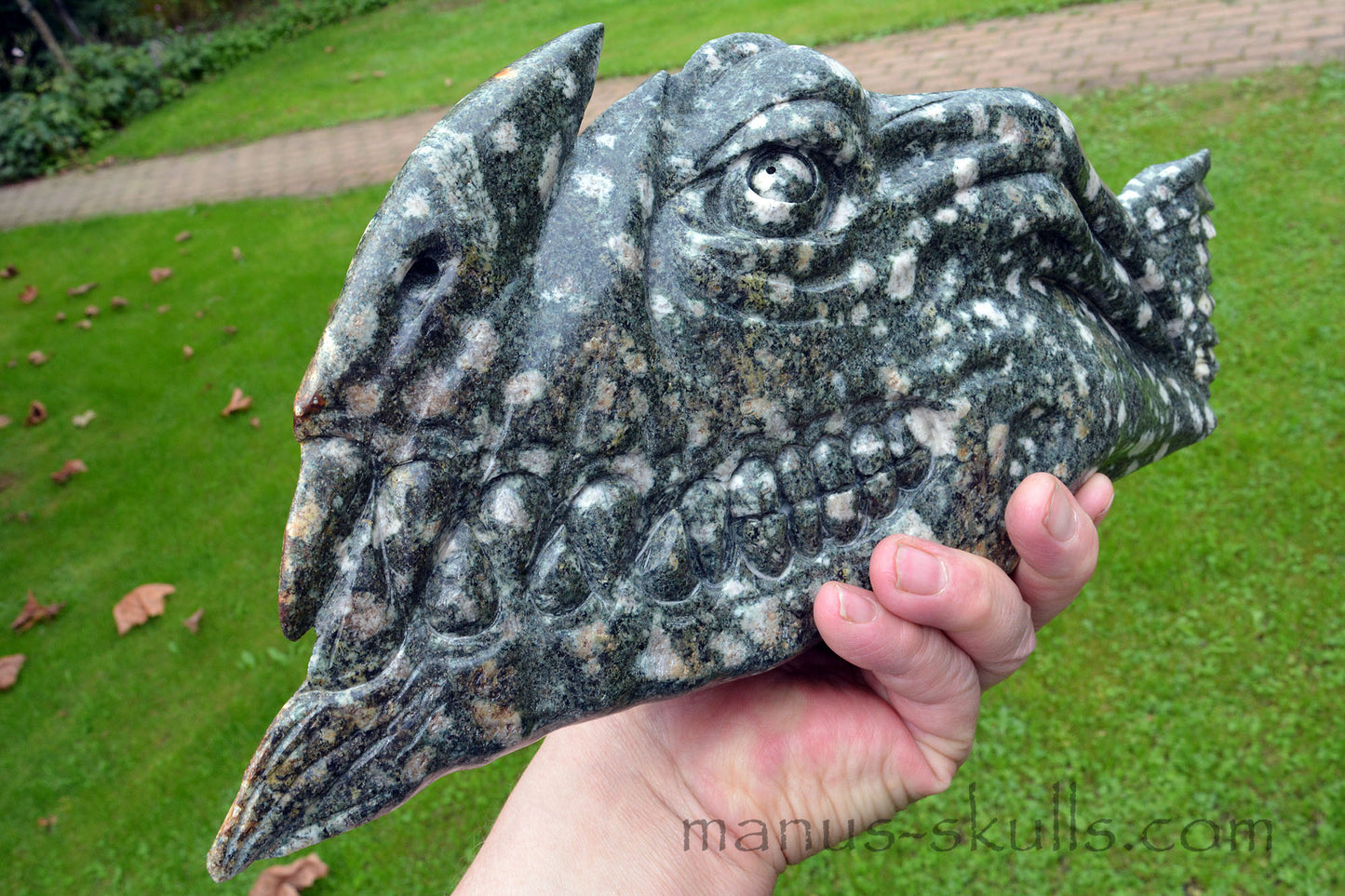 Preseli Bluestone Piranha Dragon ....