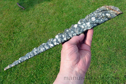 Large Preseli Bluestone MASTER Dragon Wand 11 ~22 ~ 33 ~ 44 ~55