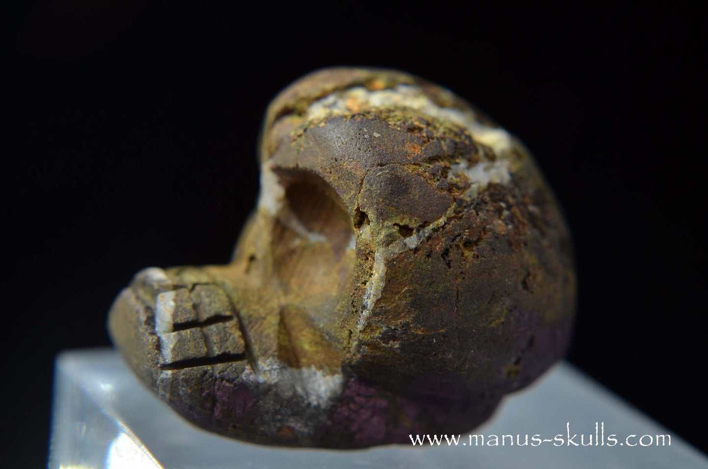 Purpurite Evolian #09