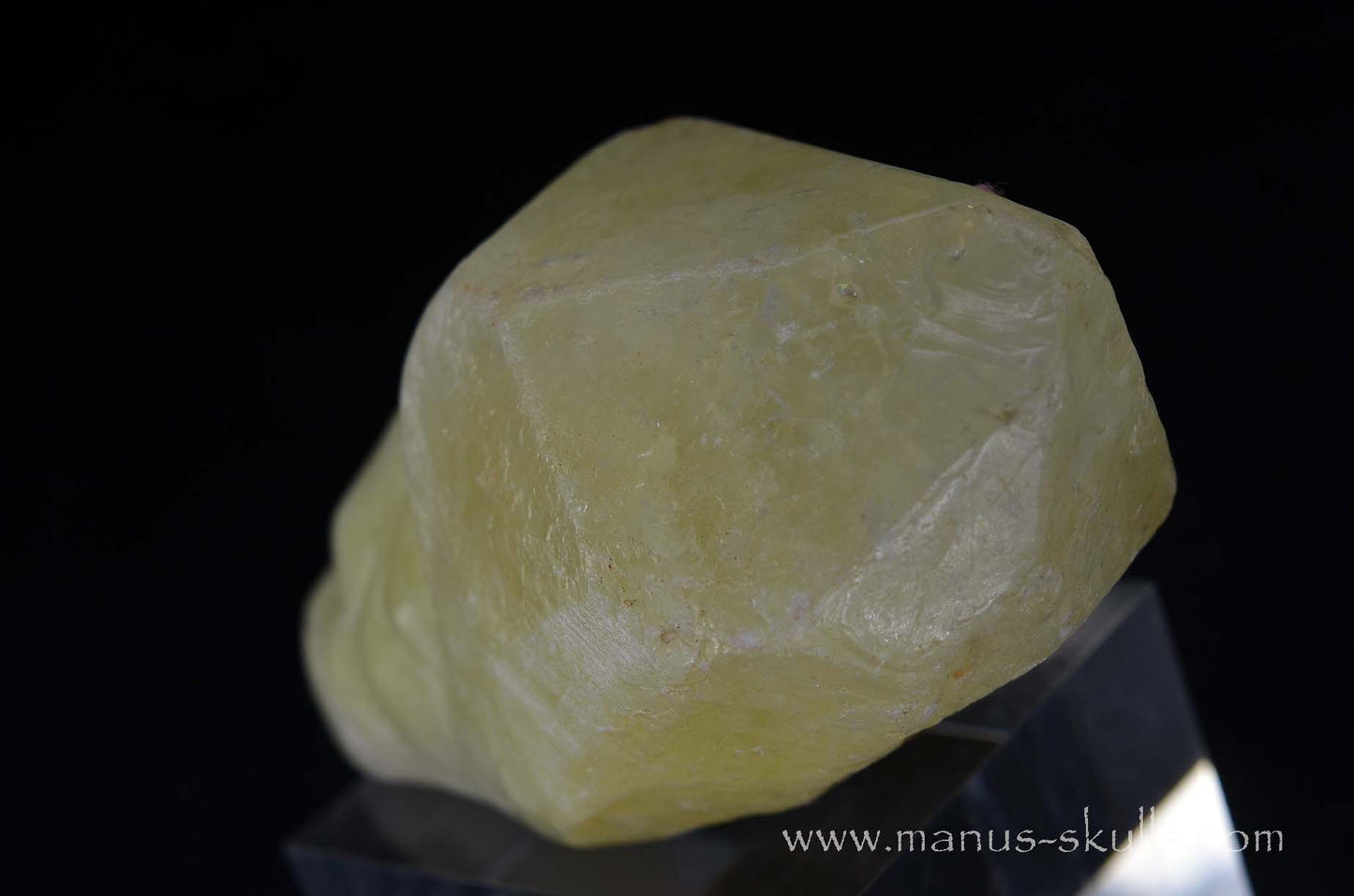 Sulfur Quartz Toothless Skull