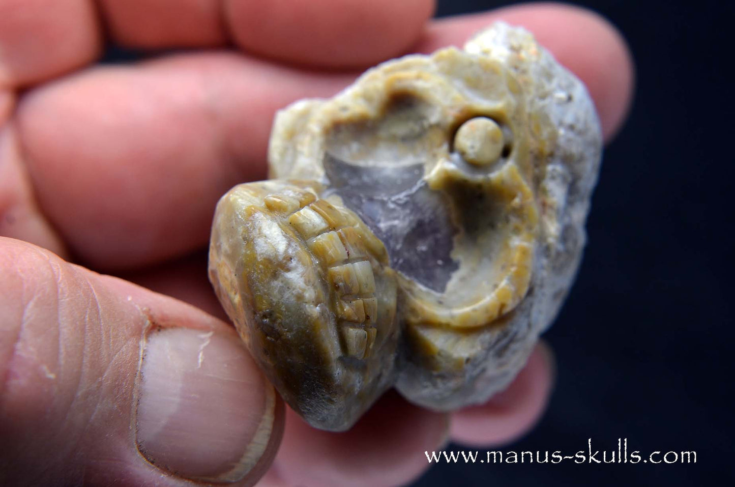 TNT-bed Thunderegg  Evolian #11