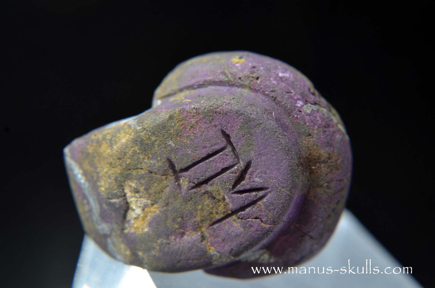 Purpurite Evolian #09