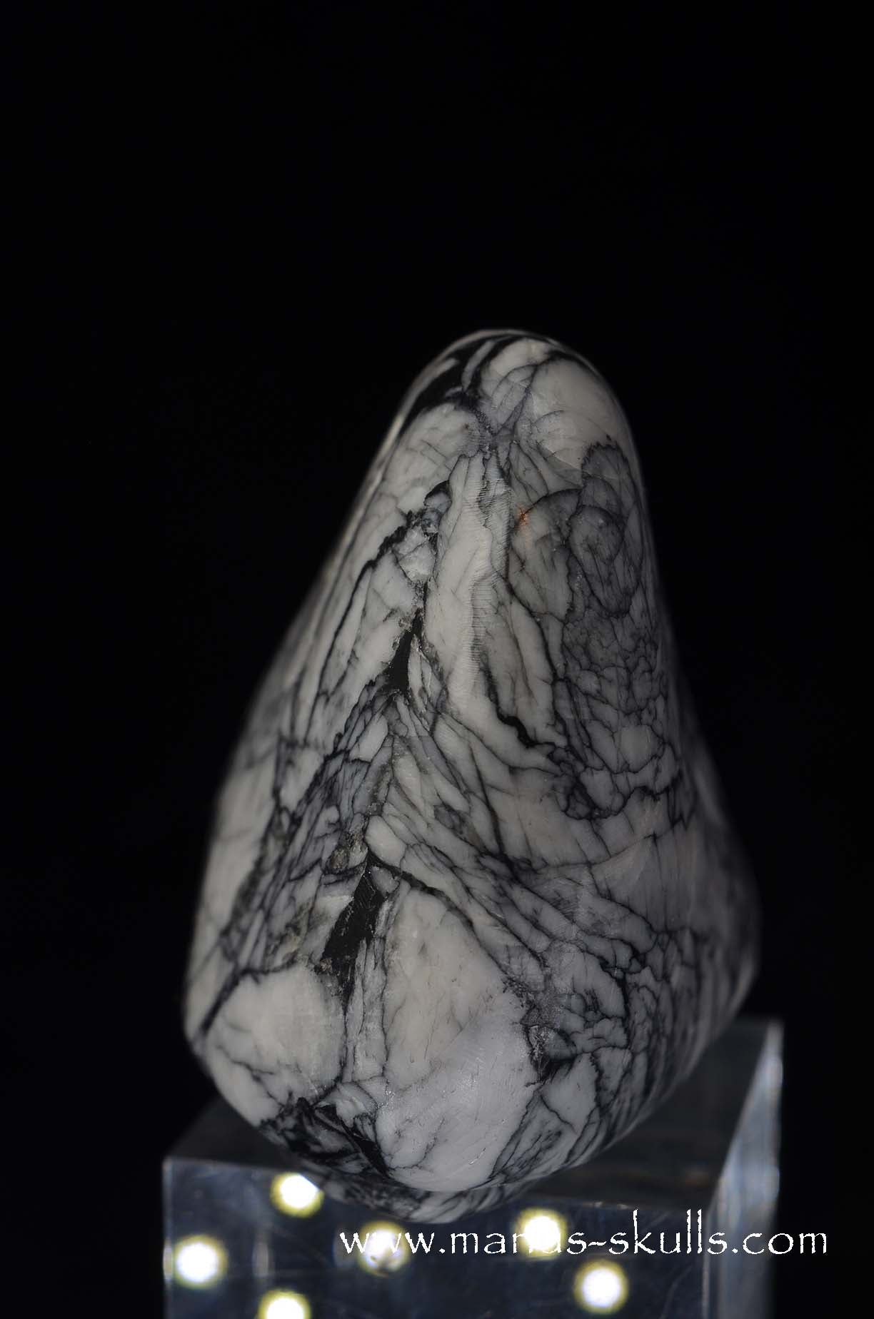 Austrian Pinolith Evolian #01