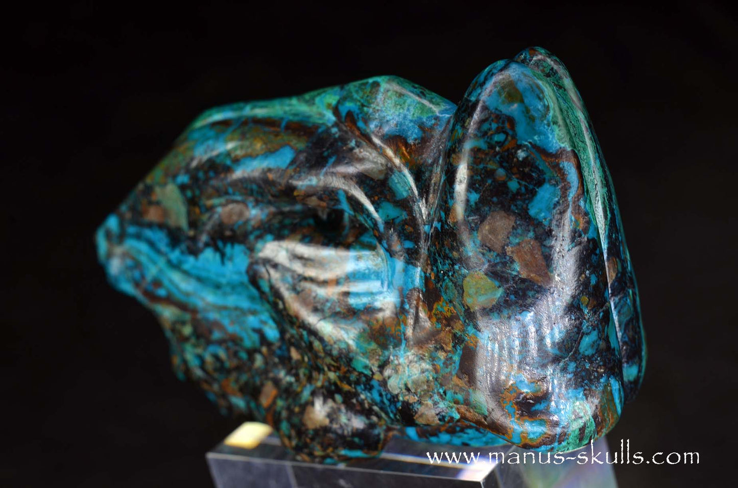 Chrysocolla Dragon