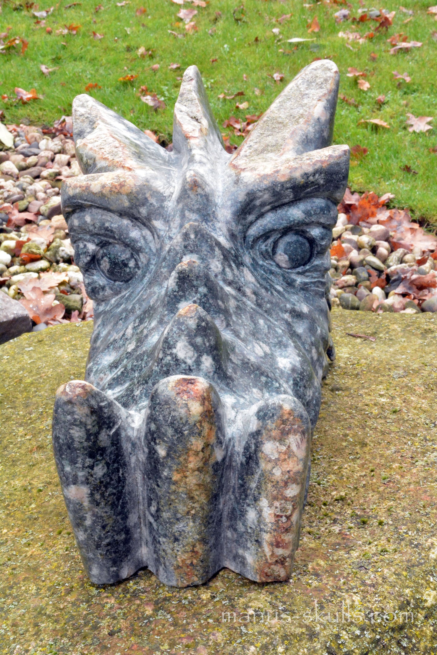 HUGE Preseli Bluestone master Dragon (20 KG)