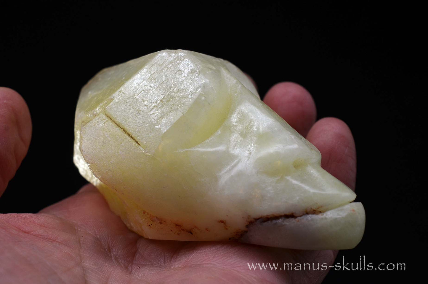 Sulfur Quartz Toothless Skull