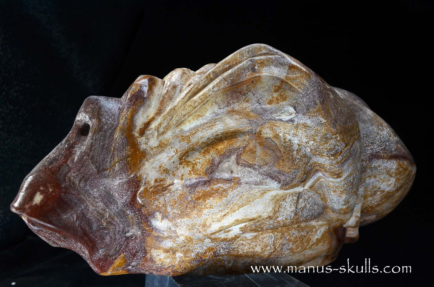 Large Batik Jasper ALIEN Dragon ~ First 2026 Carve!!
