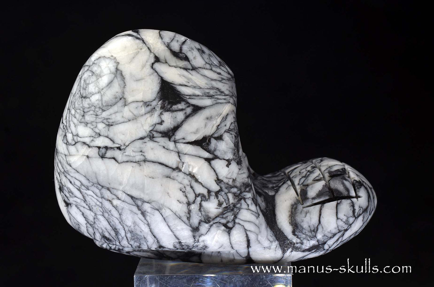 Austrian Pinolith Evolian #01
