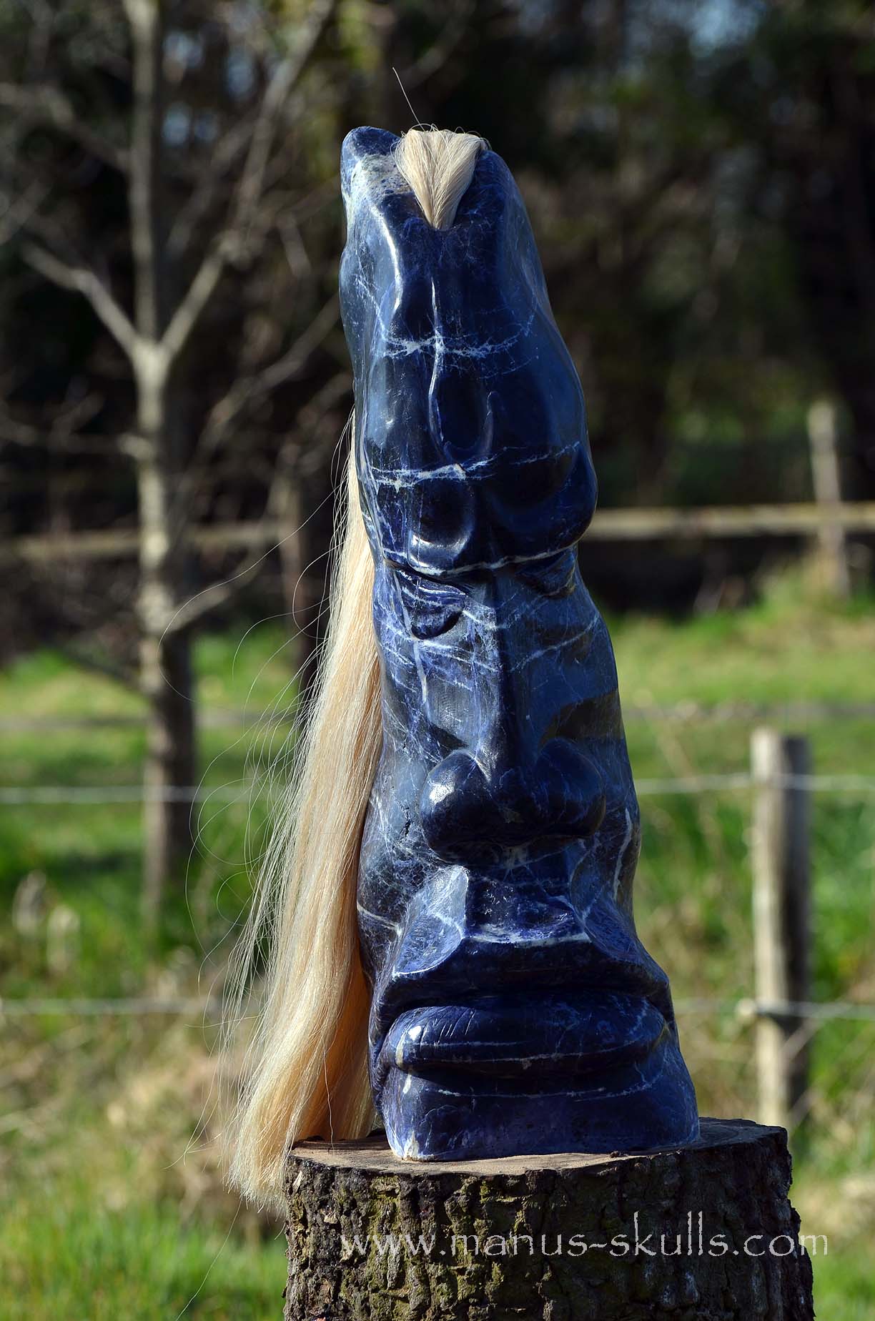 Sodalite Tribe Statue #001