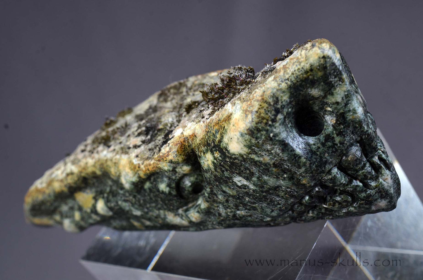 Preseli Bluestone Dragon with living moss on top.