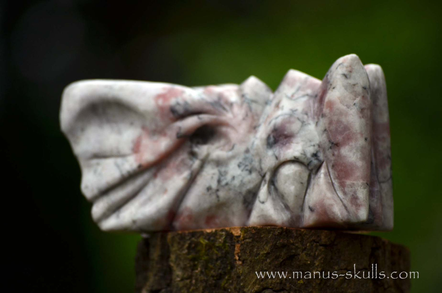 Petalite Dragon