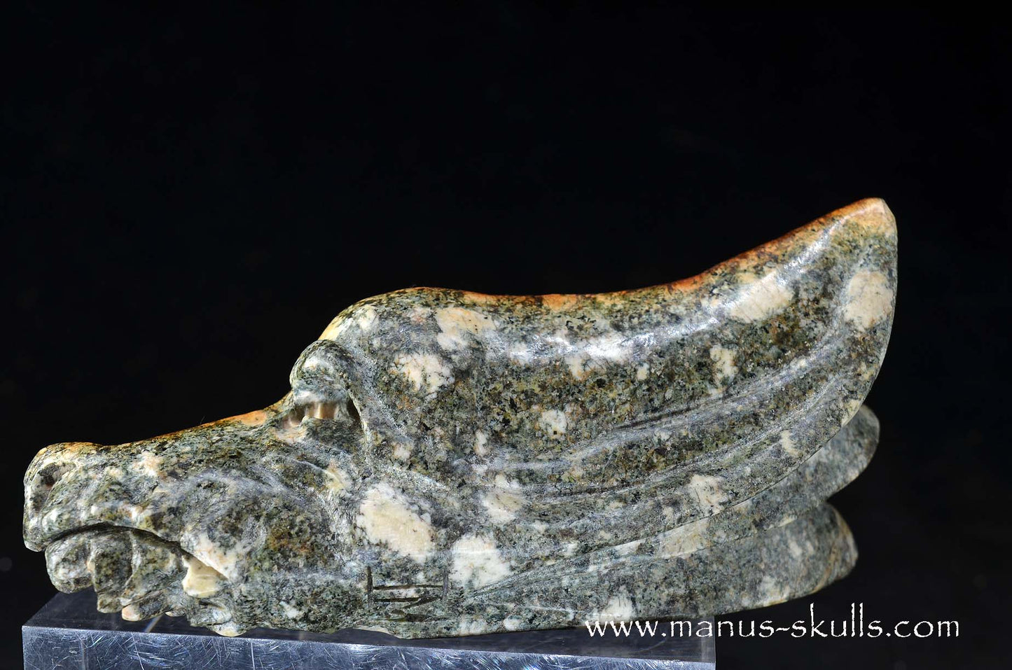 Preseli Bluestone Dragon