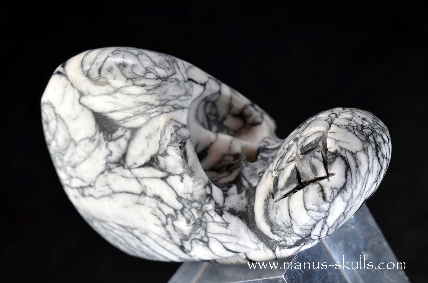 Austrian Pinolith Evolian #01