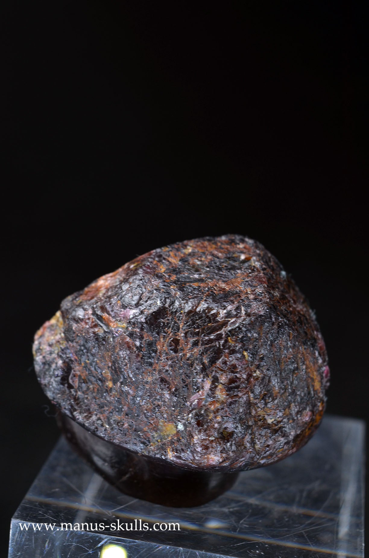 Garnet Evolian #04
