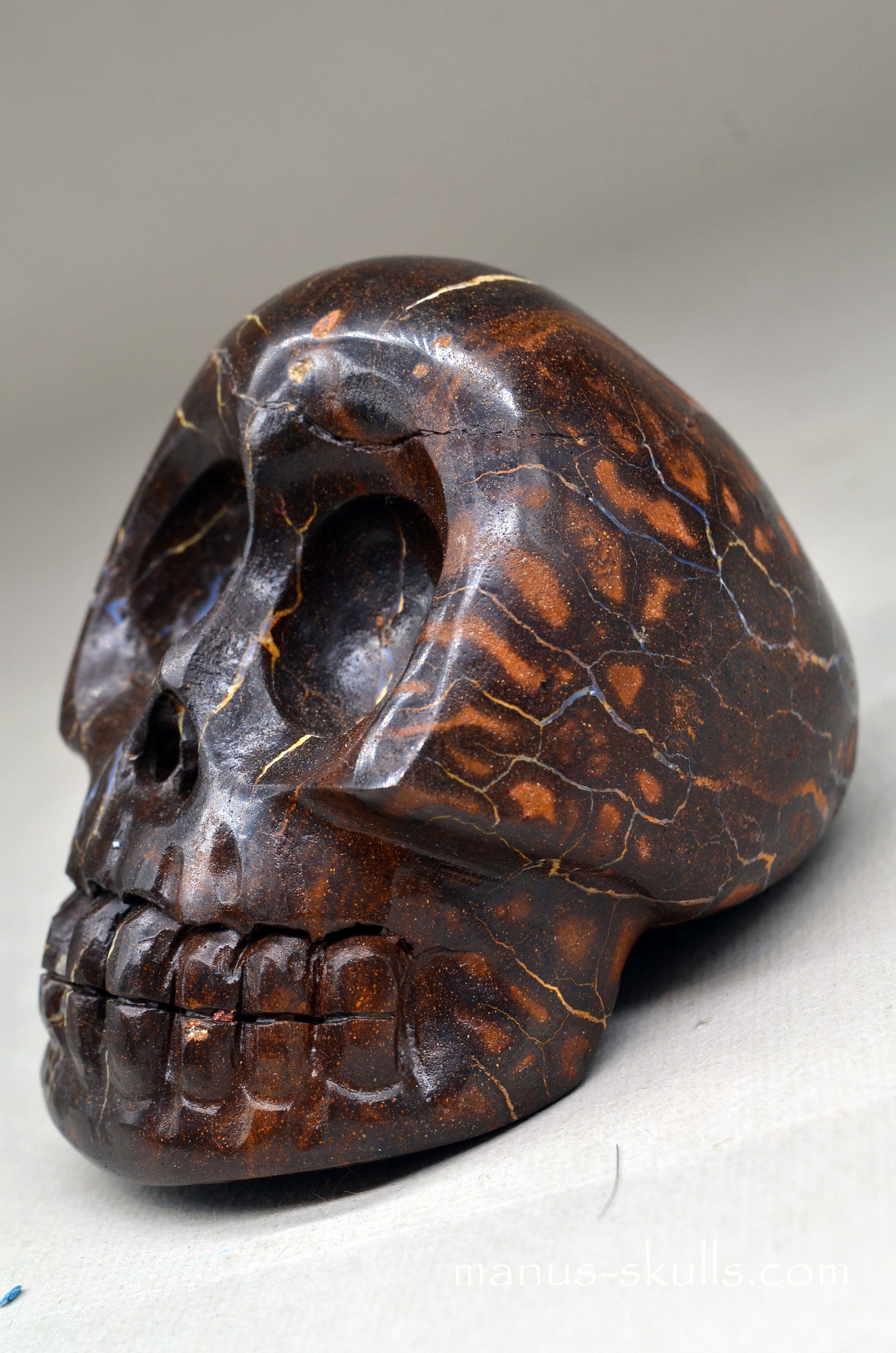 Australian Boulder Opal Manus Skull.