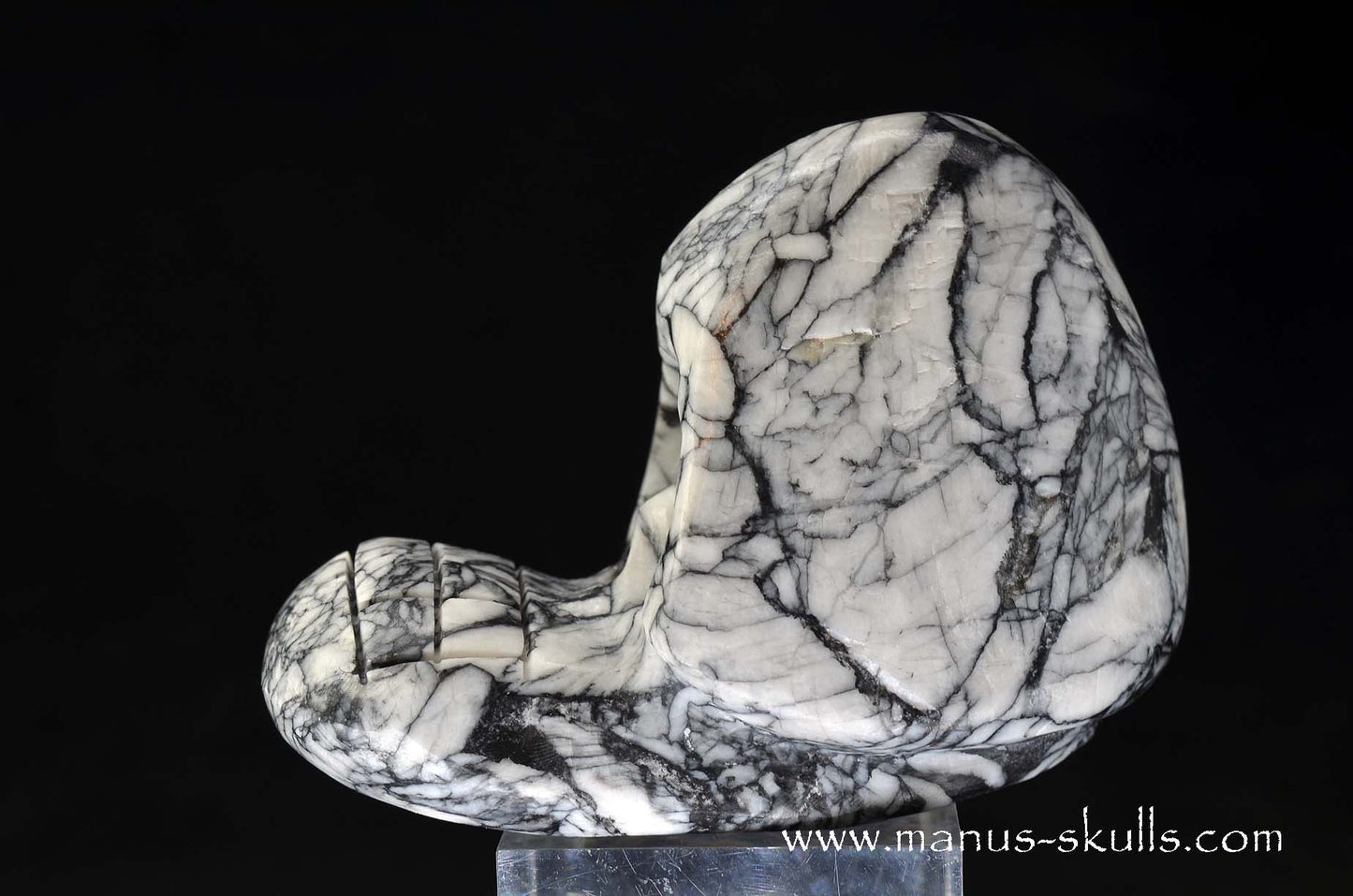 Austrian Pinolith Evolian #01