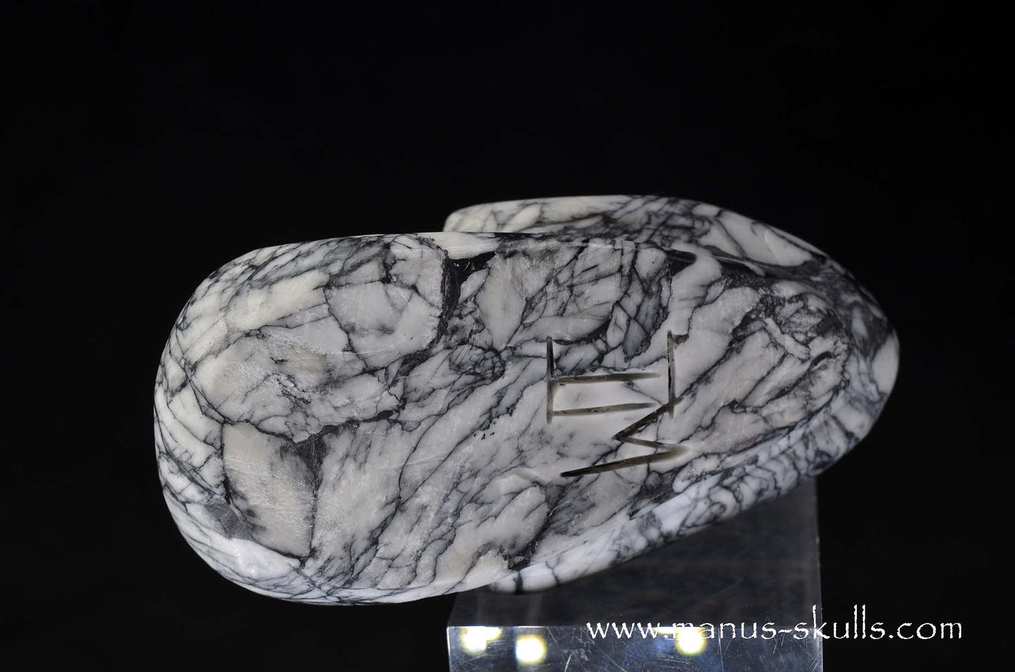 Austrian Pinolith Evolian #01